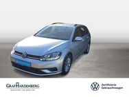 VW Golf Variant, 1.6 TDI Trendline, Jahr 2018 - Offenburg