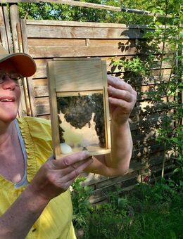 Bienenkönigin Carnica standbegattet - Diedorf