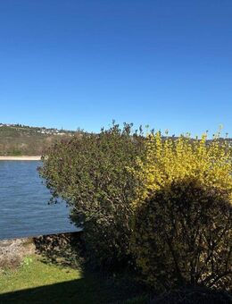 Einfamilienhaus in Koblenz direkt am Rhein - Koblenz
