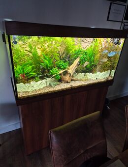 Aquarium Juwel Rio 350 komplett - Dinslaken