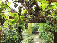 Sonniges Reihenhaus für Jung und Alt mit Terrasse, Garten, Keller. - Meckenheim