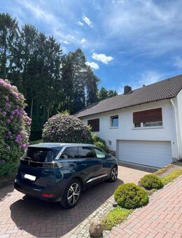 Ihr Familientraum auf großem Grundstück! Freistehendes Einfamilienhaus mit Garten und Garage - Bad Salzuflen