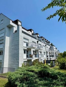 Modernes Wohnen mit Weitblick - Maisonettewohnung mit 2 Dachterrassen - Ulm