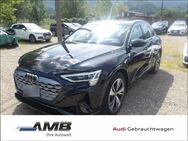 Audi Q8, Advanced 55 quattro, Jahr 2023 - Borna