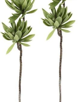 Kunstpflanze Sukkulentenzweig, I.GE.A., Höhe 62 cm, 2er Set