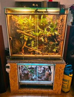 Automatisierte Terrarien mit viel Zubehör - Halle (Saale)