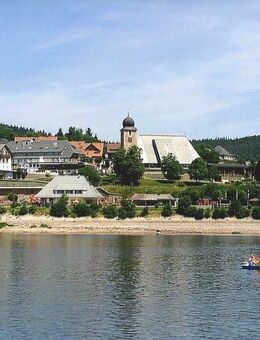 Fewo Schluchsee - Schluchsee