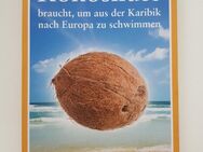 Wie lange eine Kokosnuss braucht, um aus der Karibik nach Europa zu schwimmen - Bonn