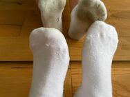 Geile Stinkesocken Socken Söckchen Arbeitssocken von mir getragen - Offenbach (Main)