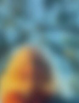 Mon*** - Wurmannsquick