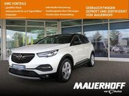 Opel Grandland X, ULTIM | Gaseinbau | |, Jahr 2019 - Bühl