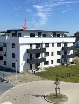 "PENTHOUSE" außergewöhnliche 3- Raumwohnung mit großer Dachterrasse in Stralsund zu vermieten - Stralsund