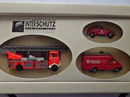Modellbau; hier Sondermodelle Interschutz - Felsberg
