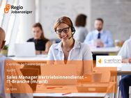 Sales Manager Vertriebsinnendienst – IT-Branche (m/w/d) - Ulm