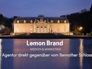 Business Consulting in Oberkassel und Benrath – Strategie Beratung I Lemon Brand Germany - Düsseldorf