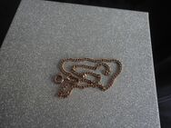 Armband Gold 585 19 cm 1.7 Gramm - Witzenhausen