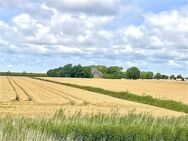 Rarität auf Eiderstedt Haubarg | Rohbau | + Altenteil - Norderfriedrichskoog