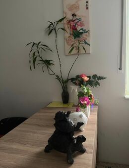 Asia Massage Zhu - Erkelenz