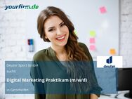 Digital Marketing Praktikum (m/w/d) - Gersthofen