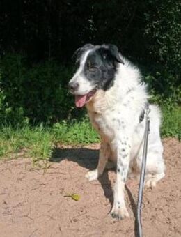 Wastel nun Toni 70 cm (Pflegestelle) - Alpenrod