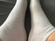 Socken - Hassel (Weser)