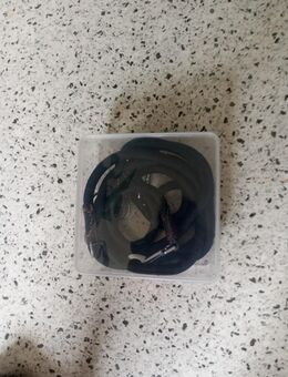 Hundeleine zu verkaufen - Oberaula