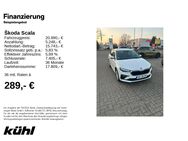 Skoda Scala, 1.0 TSI Essence, Jahr 2024 - Gifhorn