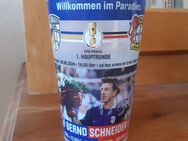 Becher: Carl Zeiss Jena - Leverkusen, DFB-Pokal, Bernd Schneider - Jena