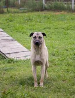 VITO - bring mir tolle Sachen bei - Overath