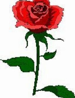 Geselliger Rentner, suche gesellige, reife Frau, aus Berlin. - Berlin