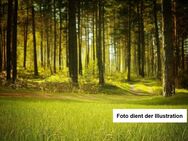 Mischwald mit klasse Zufahrt - Kallmünz