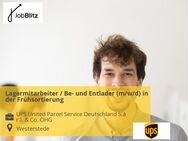 Lagermitarbeiter / Be- und Entlader (m/w/d) in der Frühsortierung - Westerstede