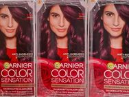 Garnier Color Sensation Haarfarbe 3.16 Aubergine - Ebersbach