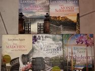 5 Bücher Lucinda Riley, Die sieben Schwestern, Die Mondschwester, Das Mädchen auf den Klippen... - Lohfelden