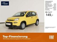 Fiat Panda, 1.0 GSE Hybrid, Jahr 2024 - Pilsach