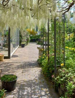 Grüne Idylle mit toller Infrastruktur - Freudenberg (Nordrhein-Westfalen)