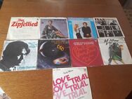 Schallplatten singel - Versmold