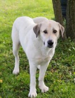 KAMILA - vielleicht passe ich gut zu dir - Overath