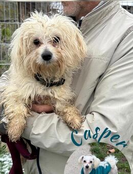 Ich heiße Casper ... mit Video - Frankfurt (Main)