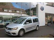 VW Caddy PKW 1.0 TSI Klima,PDC,GRA,BT,Radio - Wildberg (Baden-Württemberg)