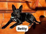 Betty im Winter herzlos ausgesetzt - Berlin