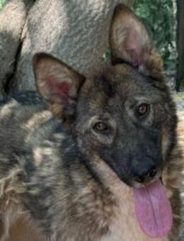 Jim - Rieden (Rheinland-Pfalz)