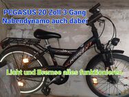 Kinder Fahrrad 20 zoll bis 28 zoll - Wathlingen