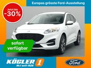 Ford Kuga, ST-Line 150PS Winter-P, Jahr 2020 - Bad Nauheim