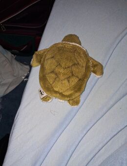 Schildkröte Kuscheltier - Laubach (Hessen)