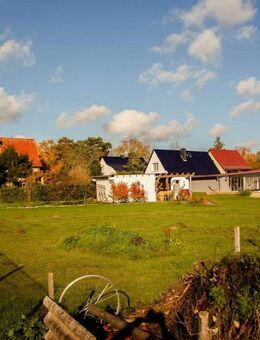 Großes Anwesen in Bandelin: Zwei Häuser, Pool, Halle, ca. 3.600 m² Grundstück - Bandelin