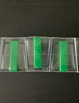 5 x 5 Euro BRD 2019 "Gemässigte Zone" ADFGJ PP m.Polymerring, Neu und OVP - Büren
