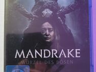 Mandrake-Wurzel des Bösen - Northeim