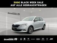 Skoda Fabia, Clever 70kw, Jahr 2021 - Niestetal