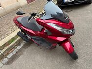 Honda PCX 125 - Leipzig Nordost